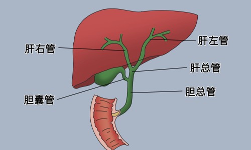 万基洋参含片专区_万基洋参胶囊被国家禁售了吗专区_万基珍珠洋参胶囊网